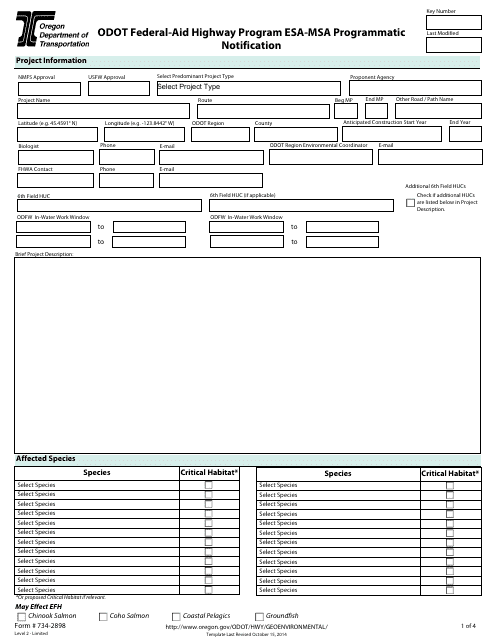 Form 734-2898  Printable Pdf
