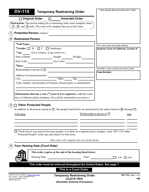 Form DV-110  Printable Pdf