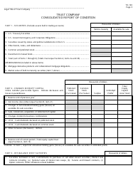 Form TR-100 Trust Company Consolidated Report of Condition and Income - Missouri, Page 3