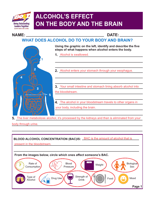 Alcohol's Effect on the Body and the Brain - Answer Key - Virginia