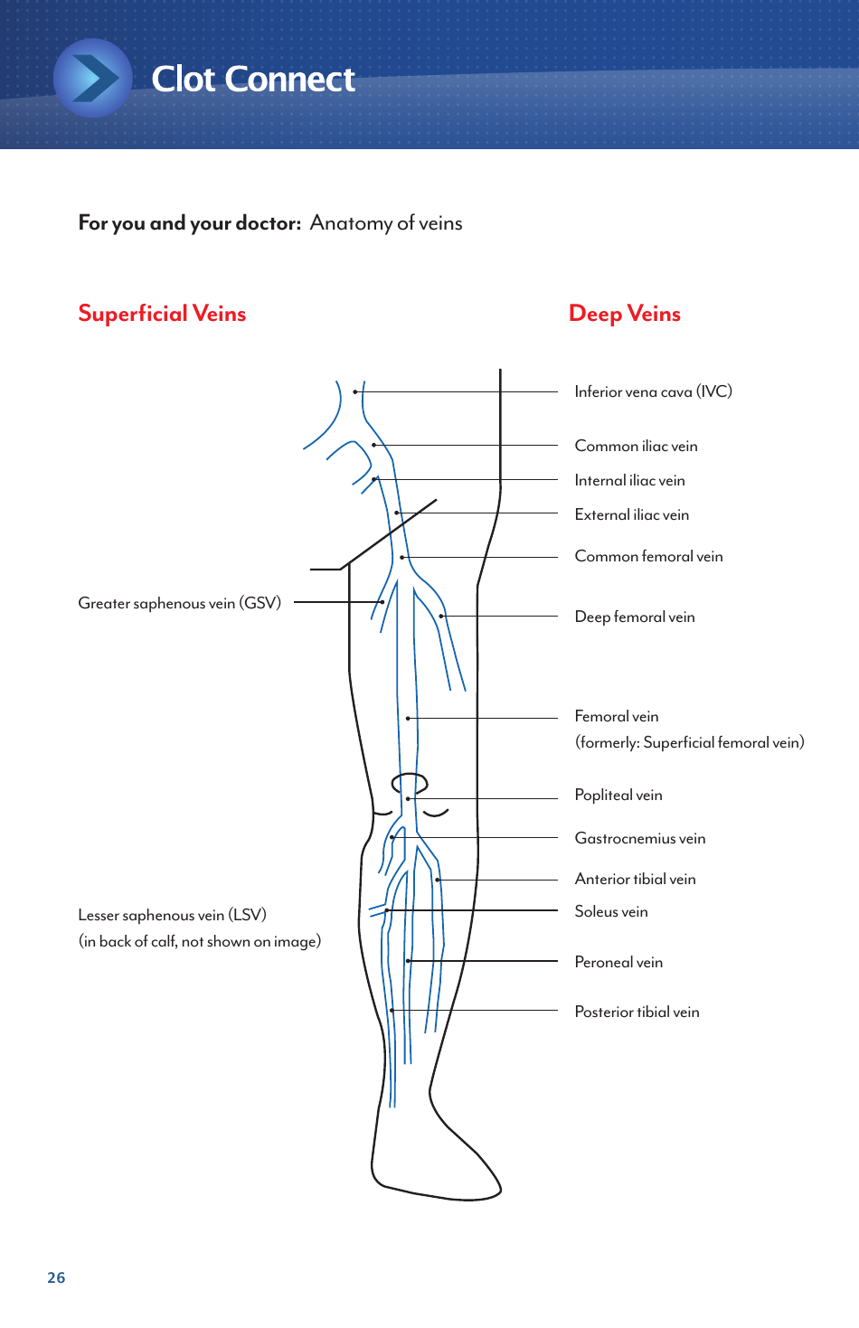 Deep Vein Thrombosis and Pulmonary Embolism - Information for Newly Diagnosed Patients - North Carolina, Page 26
