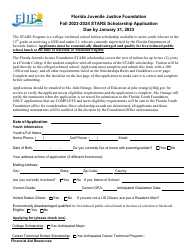 Document preview: Stars Scholarship Application - Florida, 2024