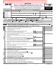 Document preview: IRS Form 990-EZ Short Form Return of Organization Exempt From Income Tax