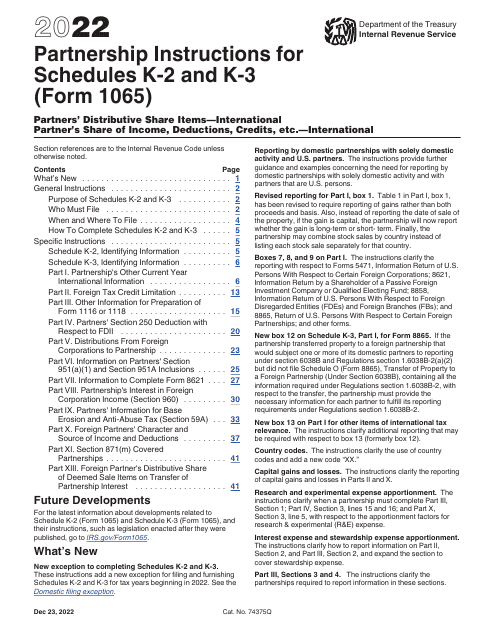 IRS Form 1065 Schedule K-2, K-3 2022 Printable Pdf