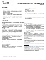 Instruction pour Forme 1, F-CO01 Statuts De Constitution D&#039;une Cooperative - Quebec, Canada (French)