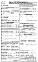 Rhode Island Dv/Sa Reporting Form - Domestic Violence & Sexual Assault ...