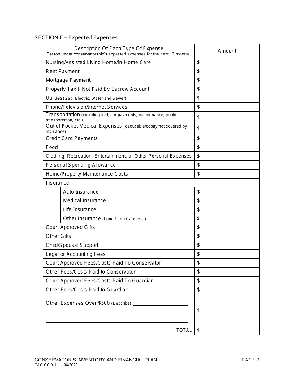 Form CAO GC9-1 Conservators Inventory and Financial Plan - Idaho, Page 7