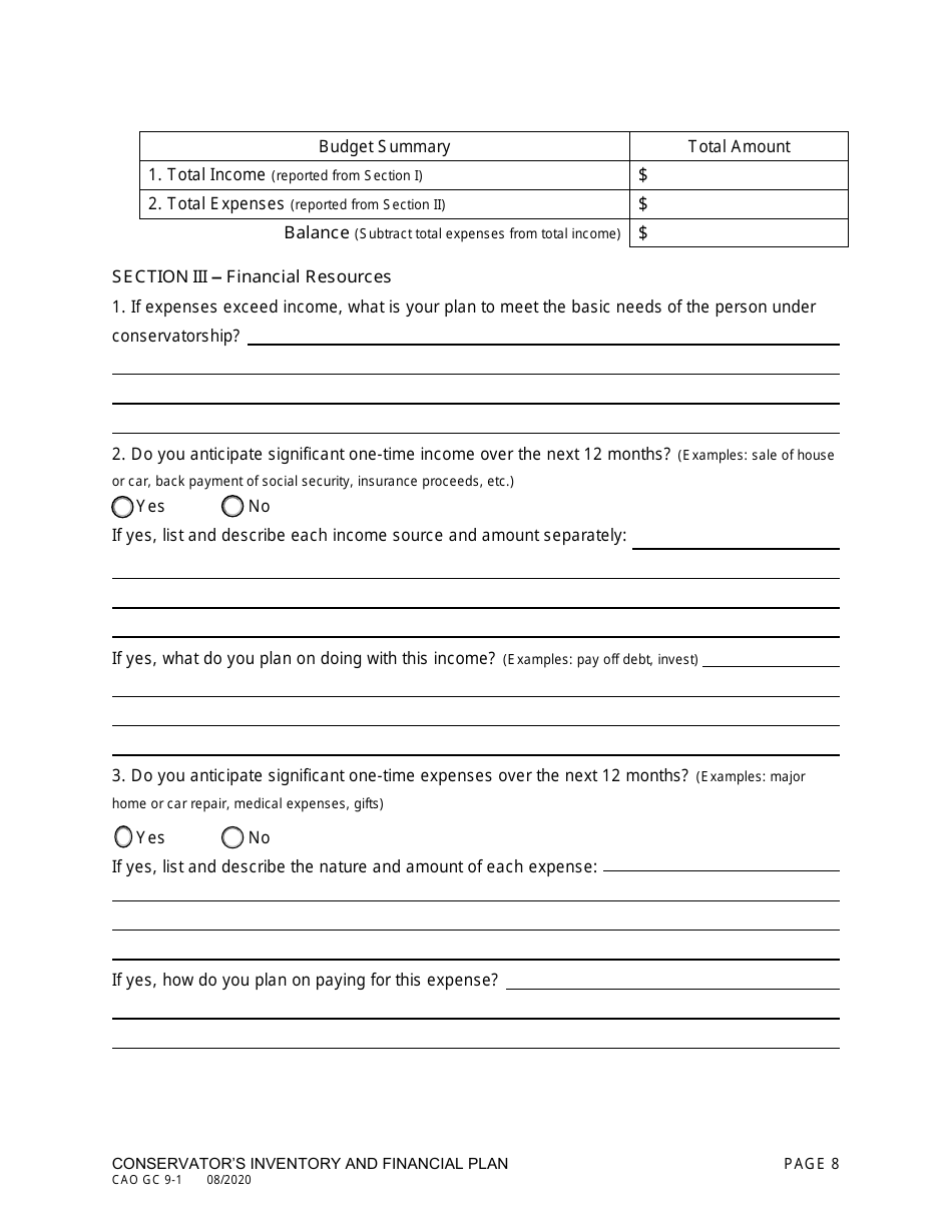 Form CAO GC9-1 Conservators Inventory and Financial Plan - Idaho, Page 8