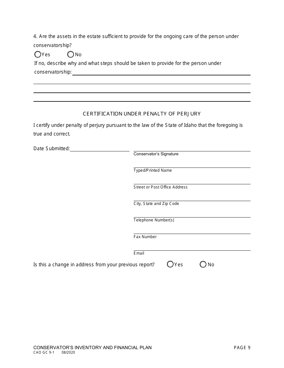 Form CAO GC9-1 Conservators Inventory and Financial Plan - Idaho, Page 9
