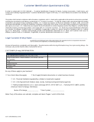 Form CAT-14572566 Customer Identification Questionnaire (Ciq) - Washington
