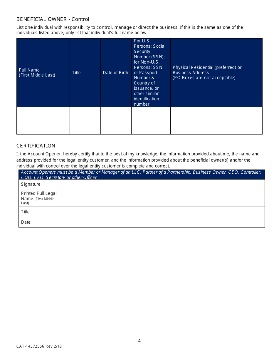 Form CAT-14572566 Customer Identification Questionnaire (Ciq) - Washington, Page 4