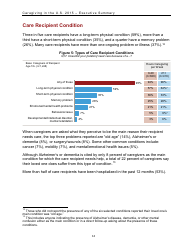 Caregiving in the U.S. 2015 - Executive Summary, Page 13
