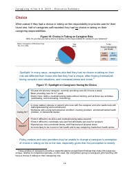 Caregiving in the U.S. 2015 - Executive Summary, Page 20