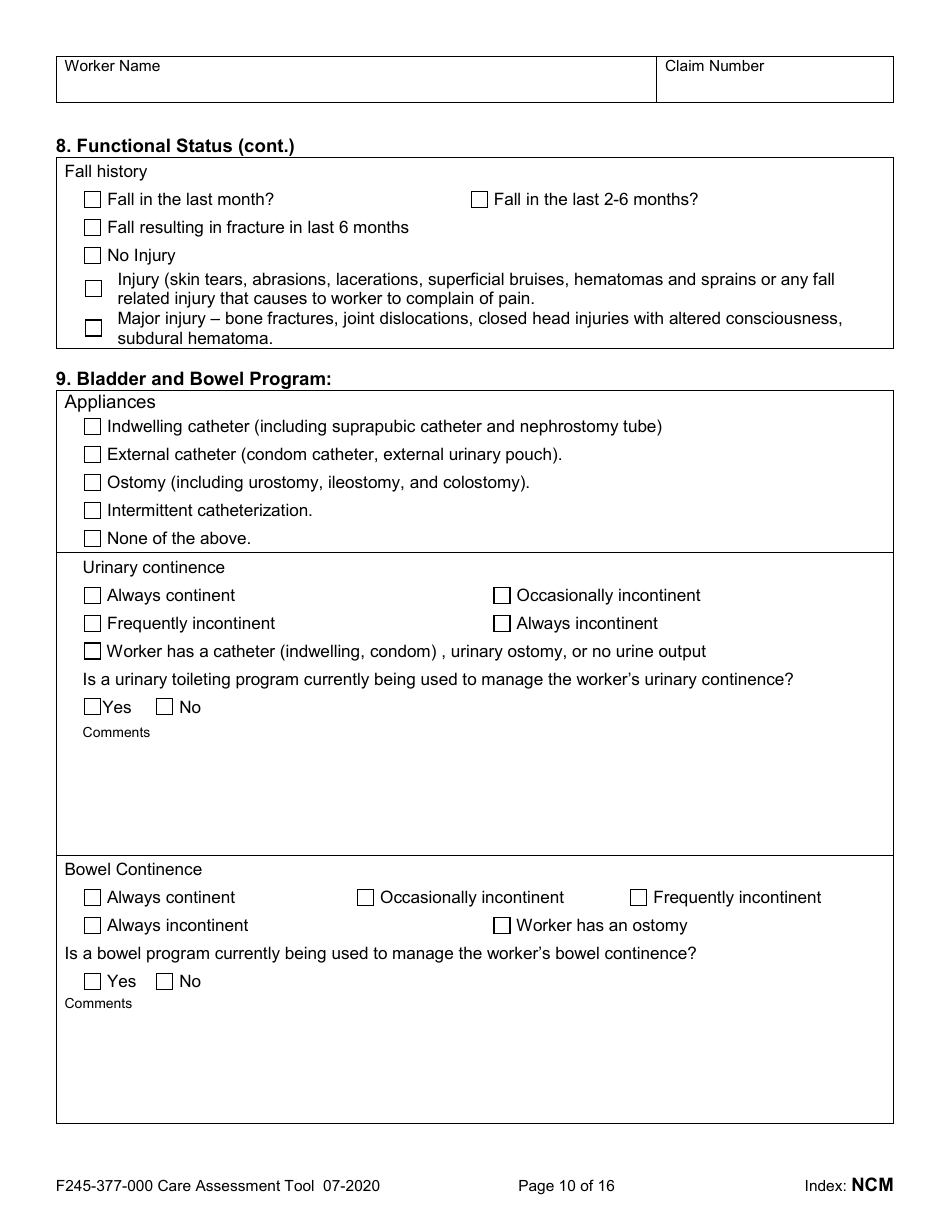 Form F245-377-000 Care Assessment Tool - Washington, Page 10
