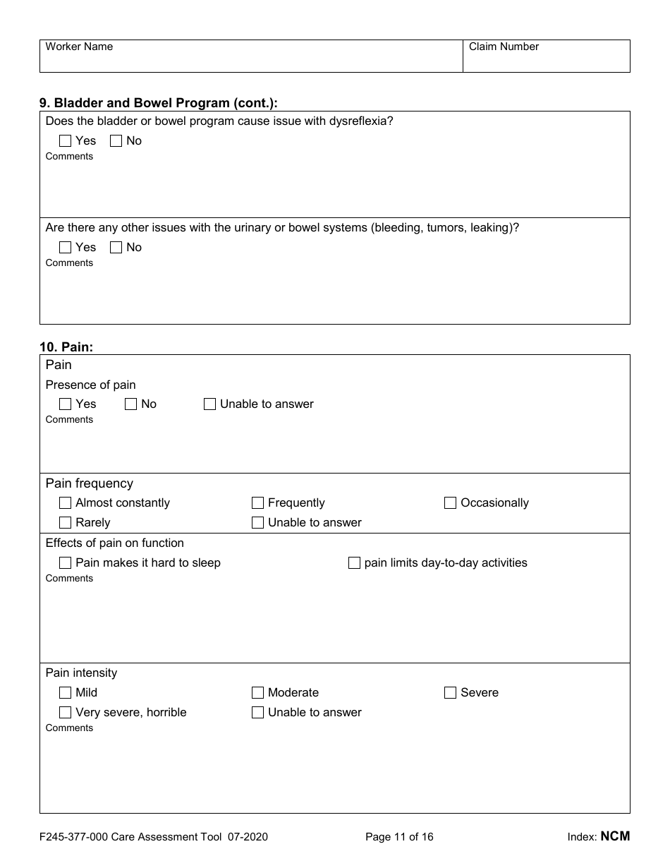 Form F245-377-000 Care Assessment Tool - Washington, Page 11