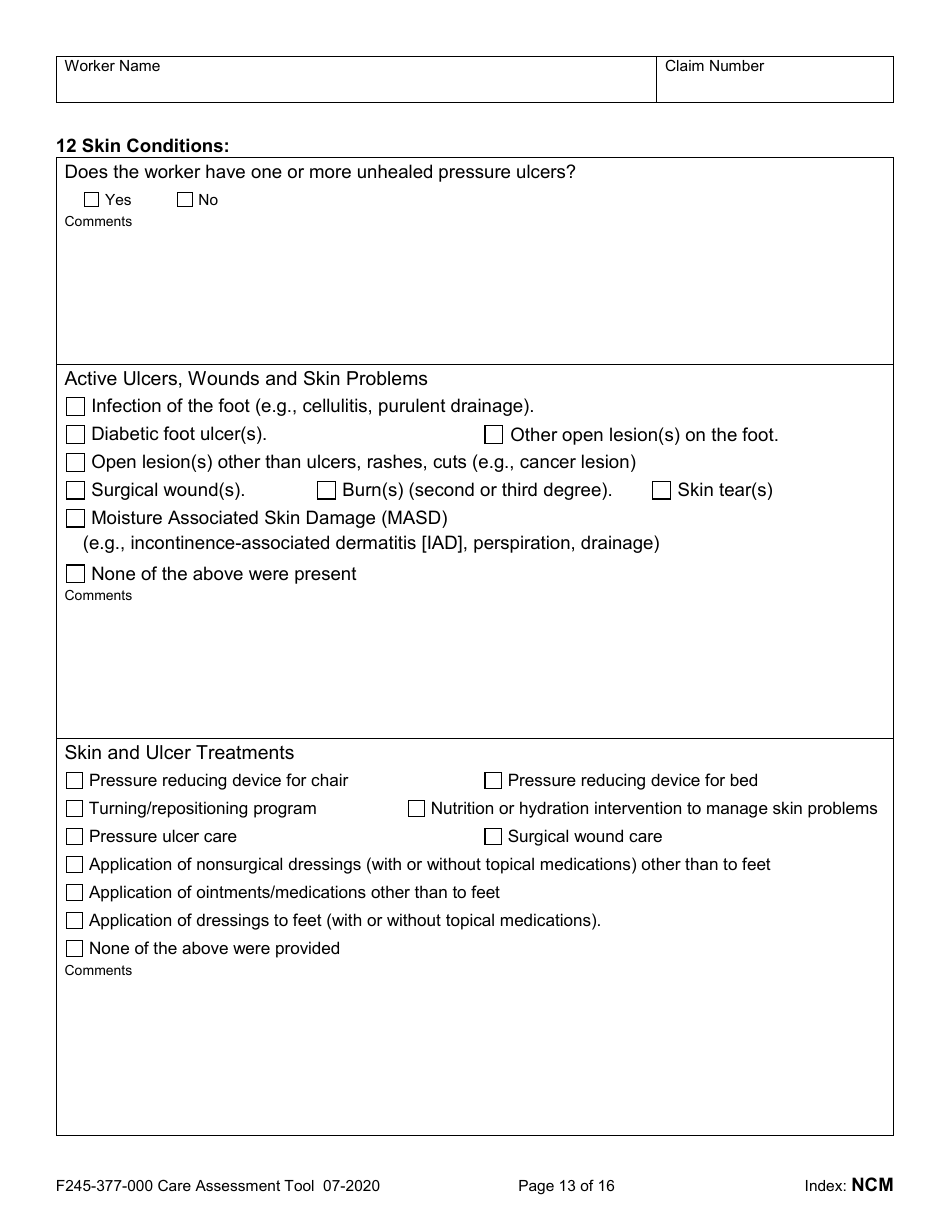 Form F245-377-000 Care Assessment Tool - Washington, Page 13