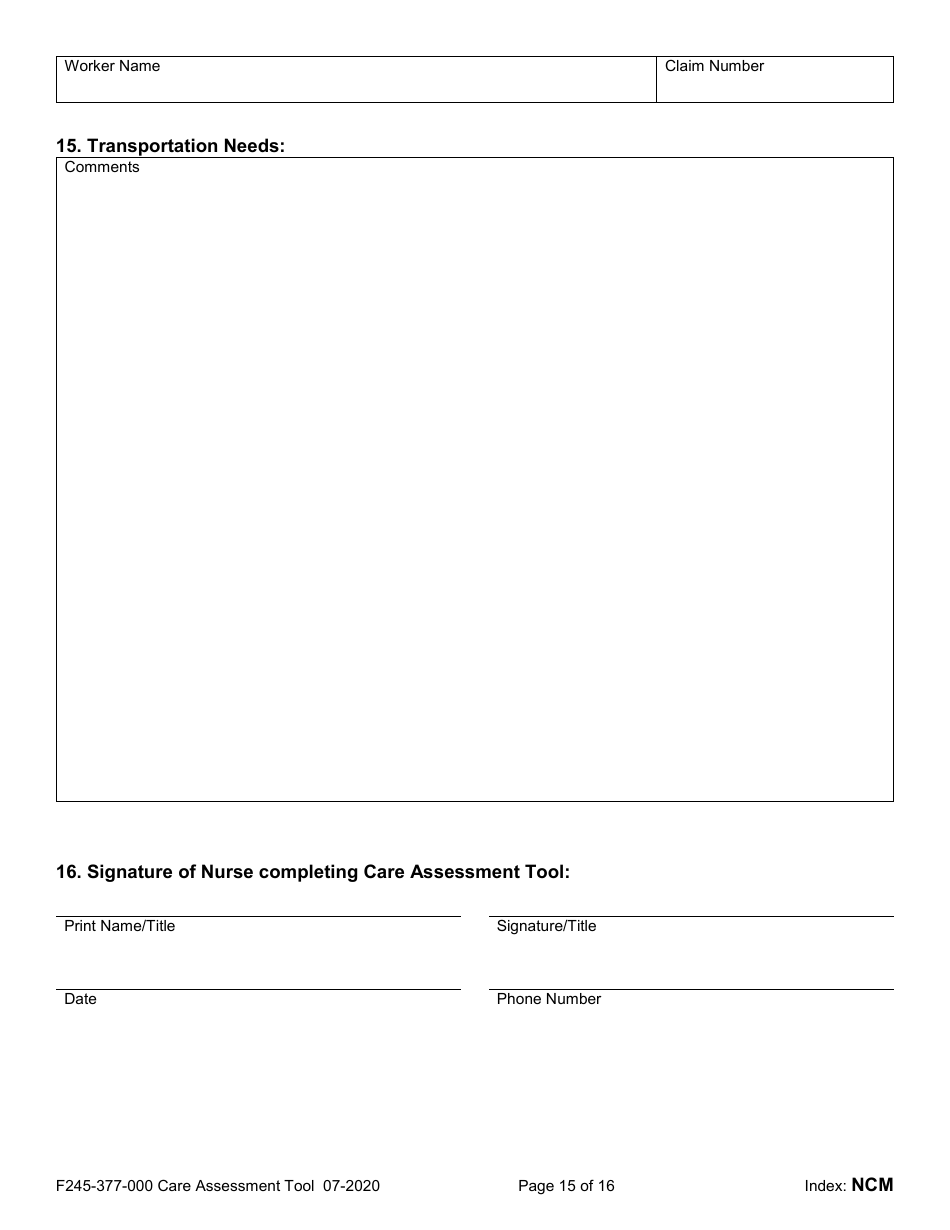 Form F245-377-000 Care Assessment Tool - Washington, Page 15
