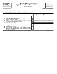 Document preview: IRS Form 8995-A Schedule D Special Rules for Patrons of Agricultural or Horticultural Cooperatives