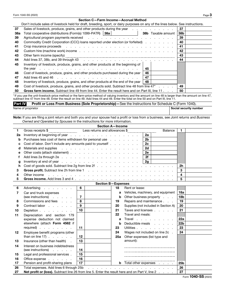 IRS Form 1040-SS U.S. Self-employment Tax Return (Including the Additional Child Tax Credit for Bona Fide Residents of Puerto Rico), Page 3