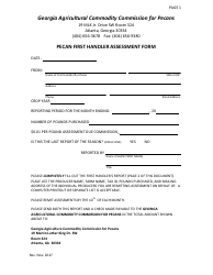Pecan First Handler Assessment Form - Georgia (United States)