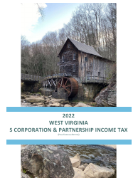 Document preview: Instructions for Form PTE-100 West Virginia Tax Return - S Corporation &amp; Partnership (Pass-Through Entity) - West Virginia