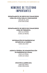Financiera De Emergencias Juego De Herramientas - Florida (Spanish), Page 4
