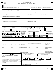 Form DS-1950 Application for Employment, Page 3