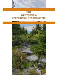 Instructions for Form CIT-120 West Virginia Corporation Net Income Tax Return - West Virginia