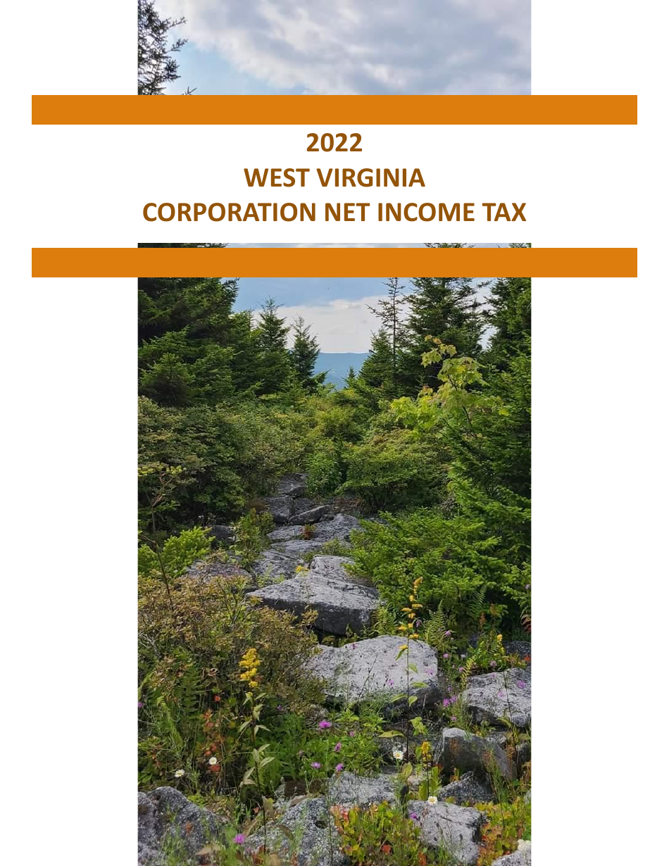 Instructions for Form CIT-120 West Virginia Corporation Net Income Tax Return - West Virginia, Page 1