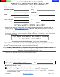 Document preview: Form E0125 Entry/Order to Attend Mediation - Juvenile Victim-Offender Mediation Program (Jvomp) - Franklin County, Ohio