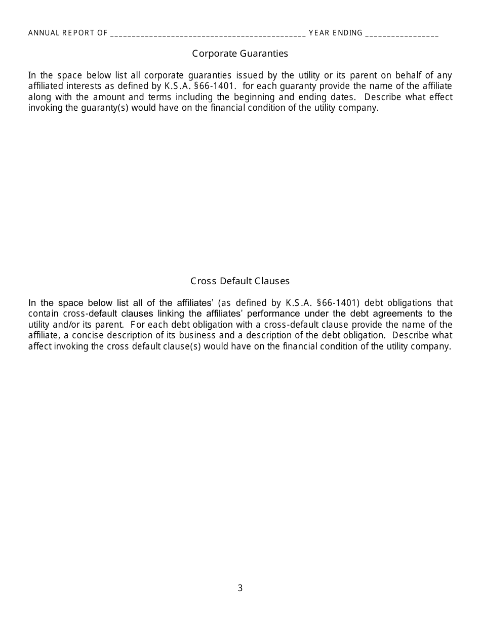 Gas Utility Kansas Supplemental Annual Report - Kansas, Page 4
