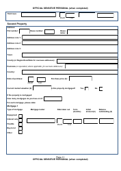 Form NSV003 Financial Questionnaire - United Kingdom, Page 11