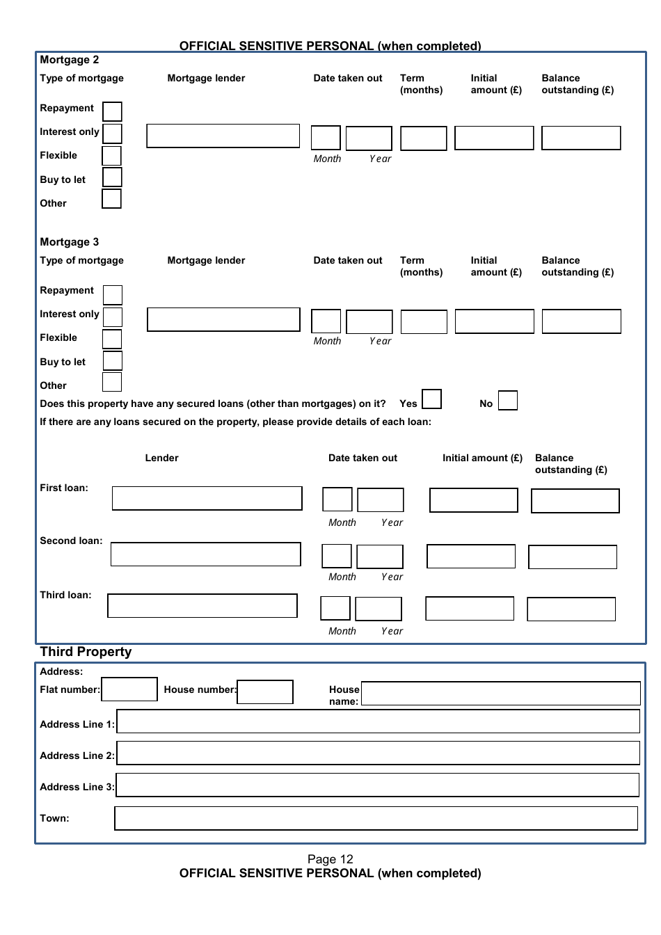 Form NSV003 Financial Questionnaire - United Kingdom, Page 12