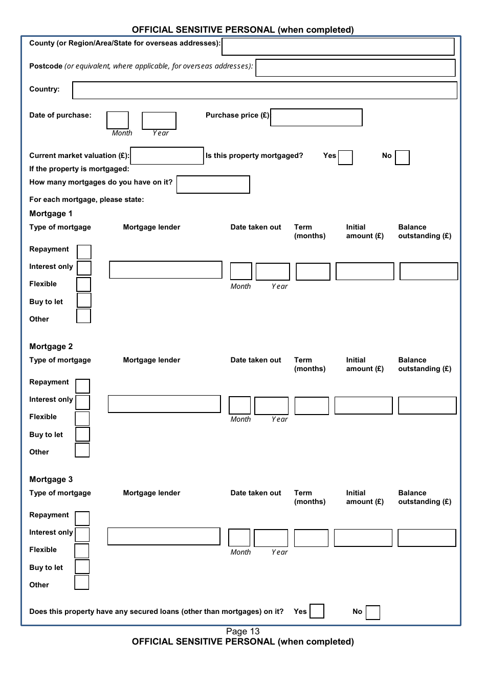 Form NSV003 Financial Questionnaire - United Kingdom, Page 13