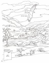 New Mexico Seymour Antelope&#039;s Coloring and Activity Book, Page 10