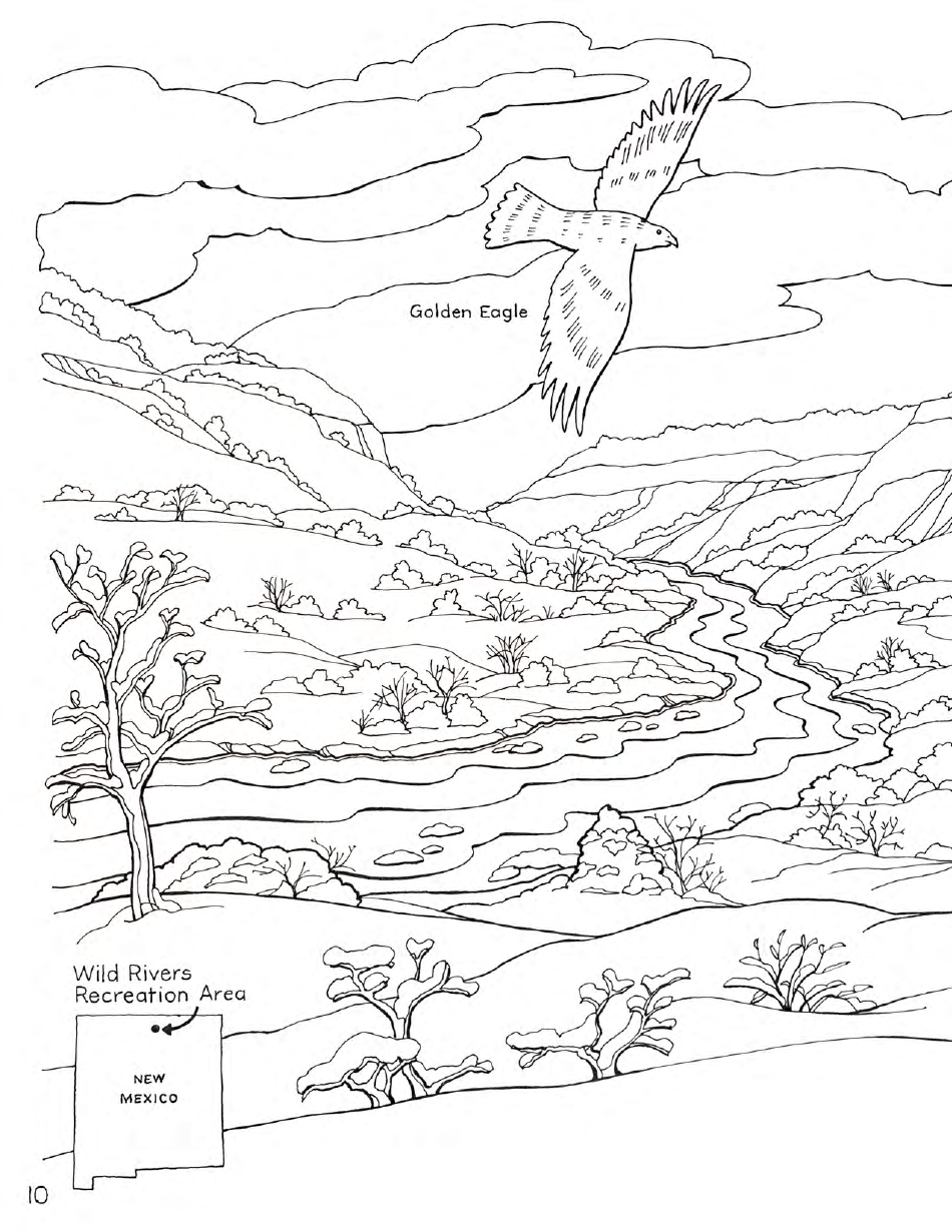 New Mexico Seymour Antelopes Coloring and Activity Book, Page 10