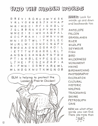 New Mexico Seymour Antelope&#039;s Coloring and Activity Book, Page 12