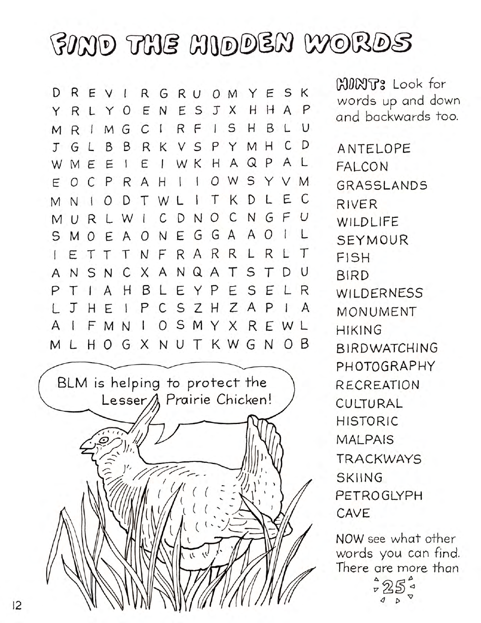 New Mexico Seymour Antelopes Coloring and Activity Book, Page 12