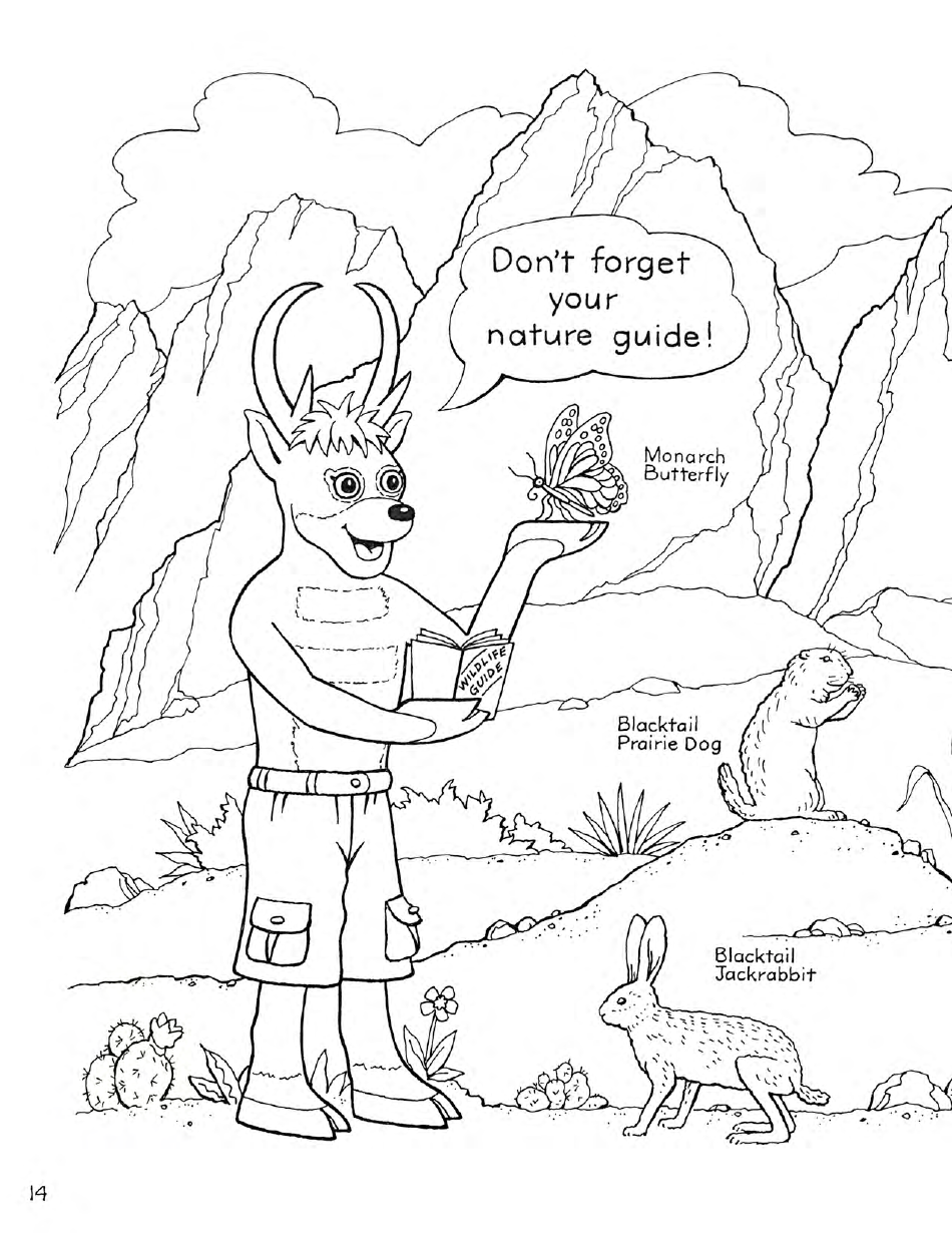 New Mexico Seymour Antelopes Coloring and Activity Book, Page 14