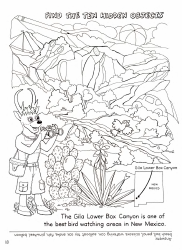 New Mexico Seymour Antelope&#039;s Coloring and Activity Book, Page 18