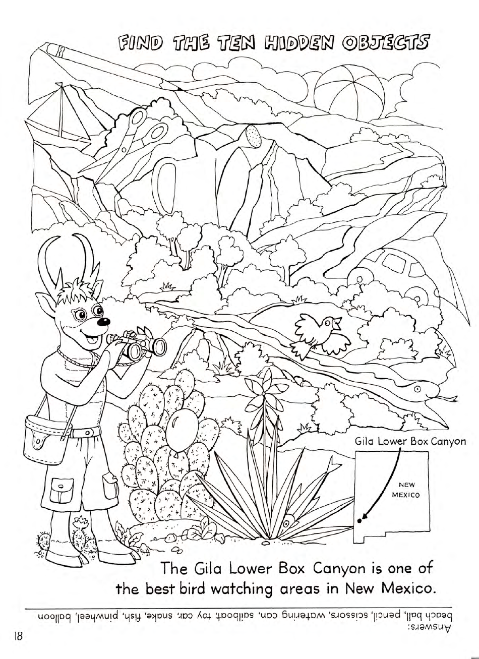 New Mexico Seymour Antelopes Coloring and Activity Book, Page 18