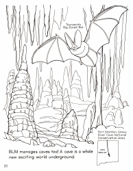 New Mexico Seymour Antelope&#039;s Coloring and Activity Book, Page 20