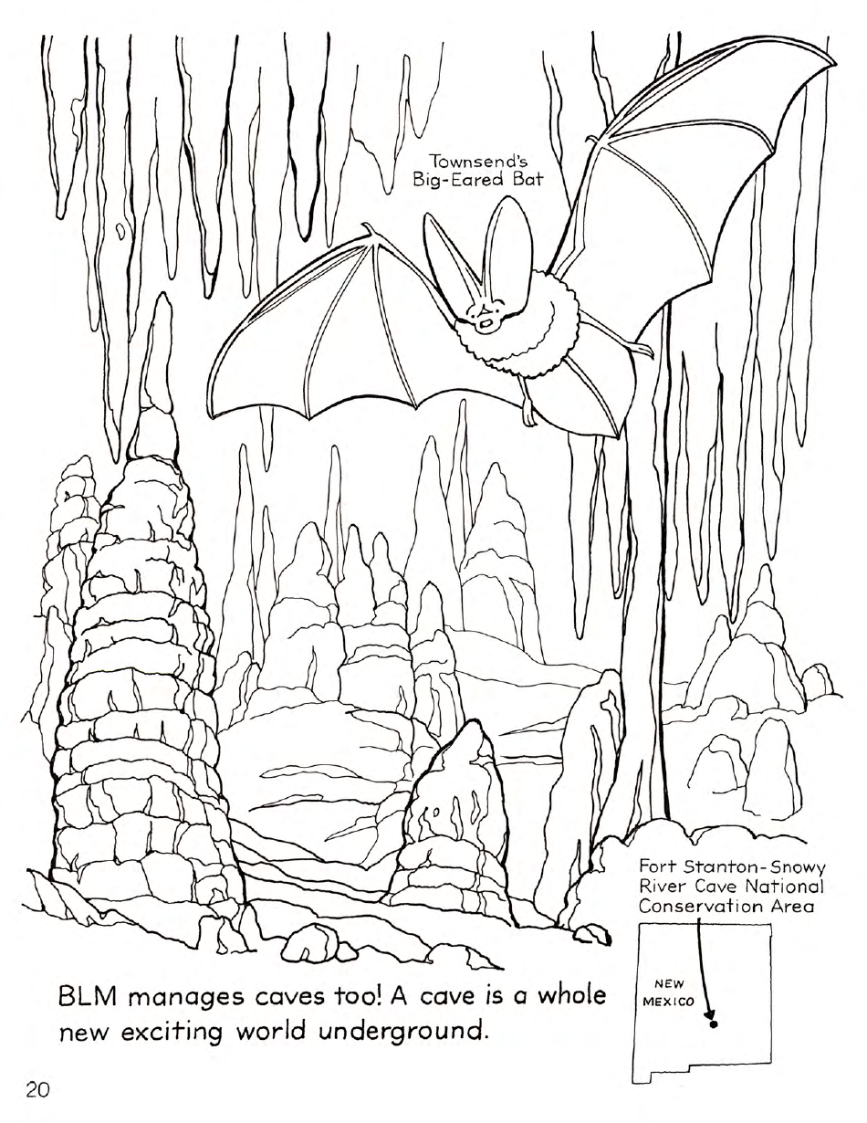 New Mexico Seymour Antelope's Coloring and Activity Book - Fill Out ...