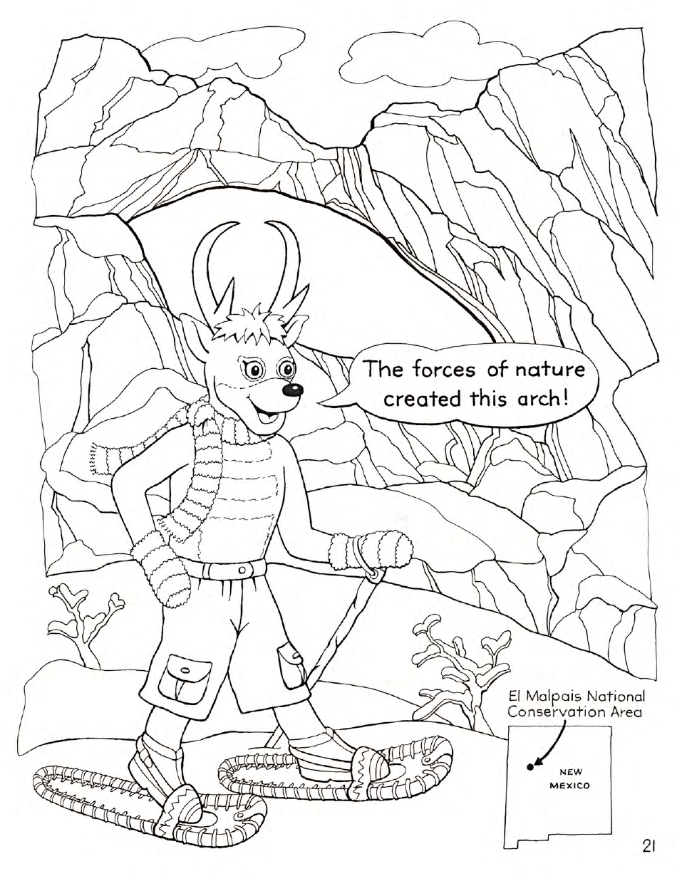 New Mexico Seymour Antelopes Coloring and Activity Book, Page 21