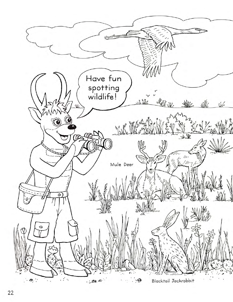 New Mexico Seymour Antelopes Coloring and Activity Book, Page 22