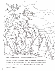 New Mexico Seymour Antelope&#039;s Coloring and Activity Book, Page 2