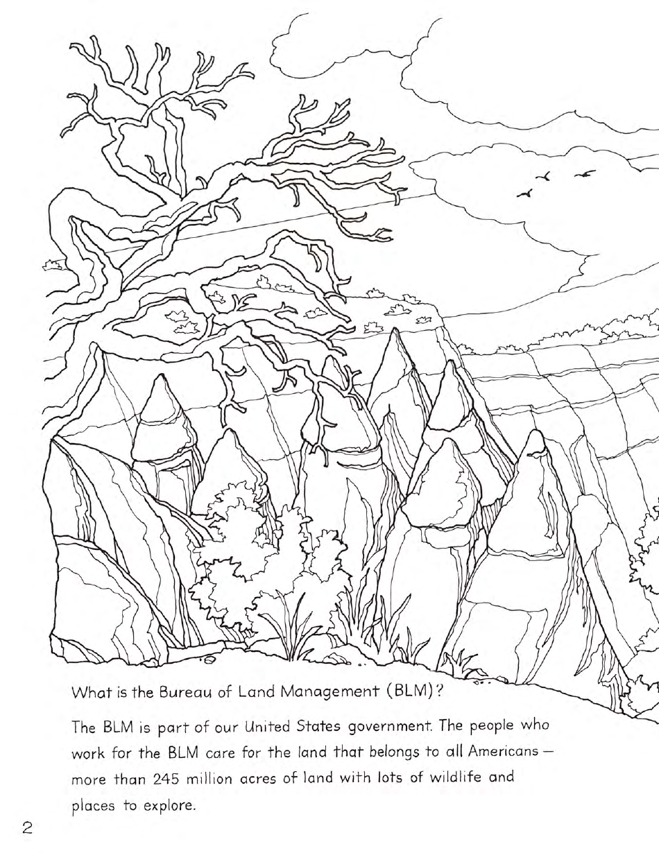 New Mexico Seymour Antelopes Coloring and Activity Book, Page 2