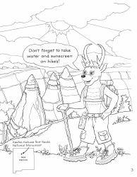 New Mexico Seymour Antelope&#039;s Coloring and Activity Book, Page 3