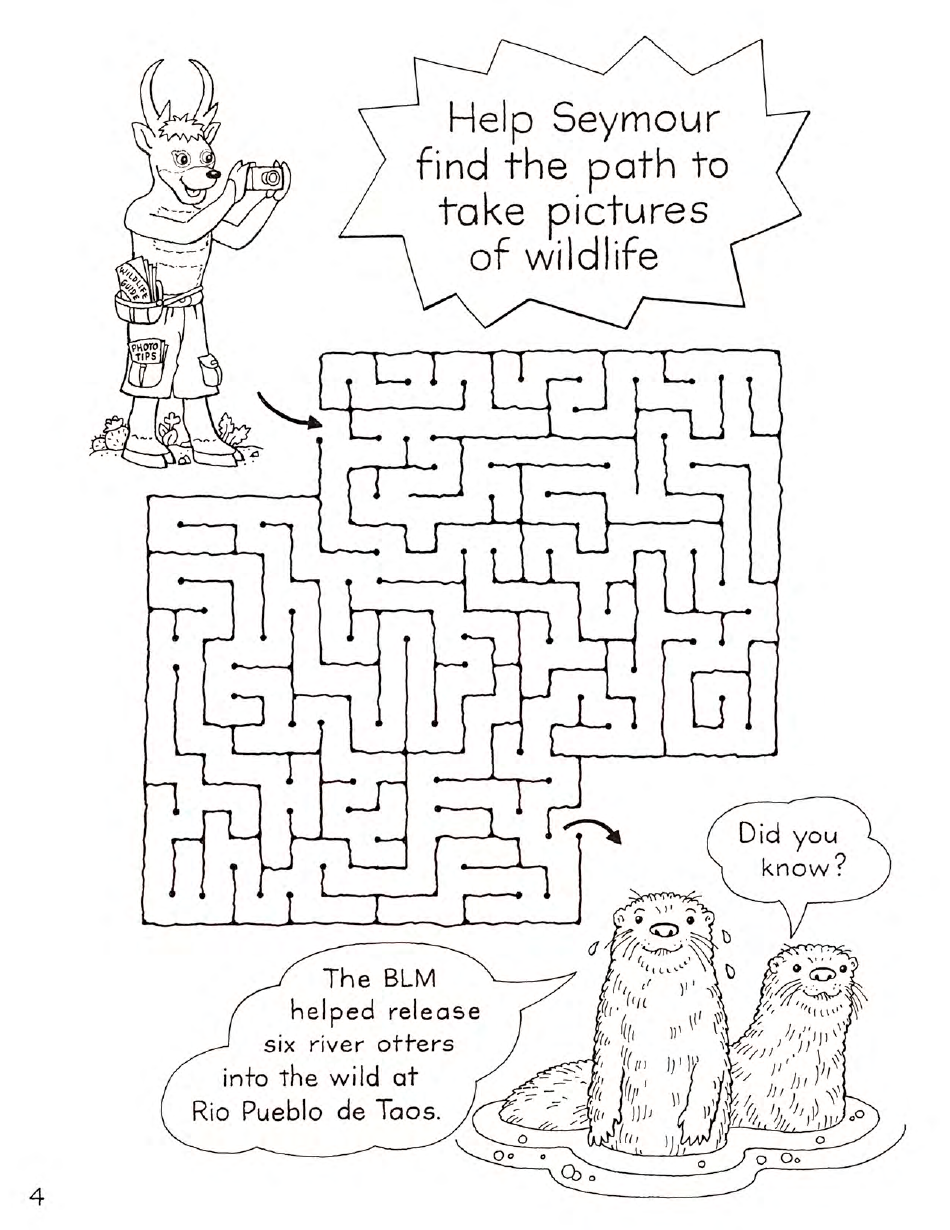 New Mexico Seymour Antelopes Coloring and Activity Book, Page 4