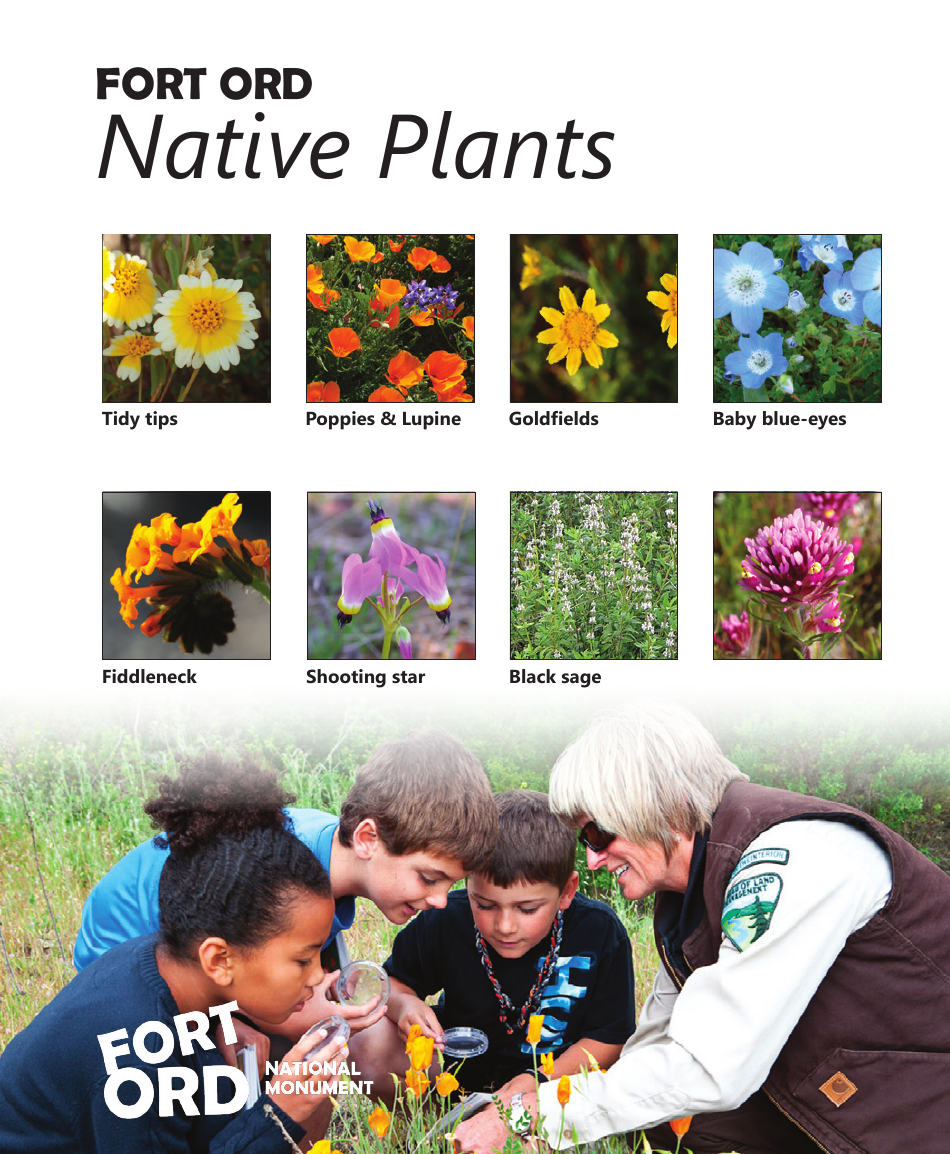 Fort Ord National Monument Junior Ranger Activity Book, Page 23